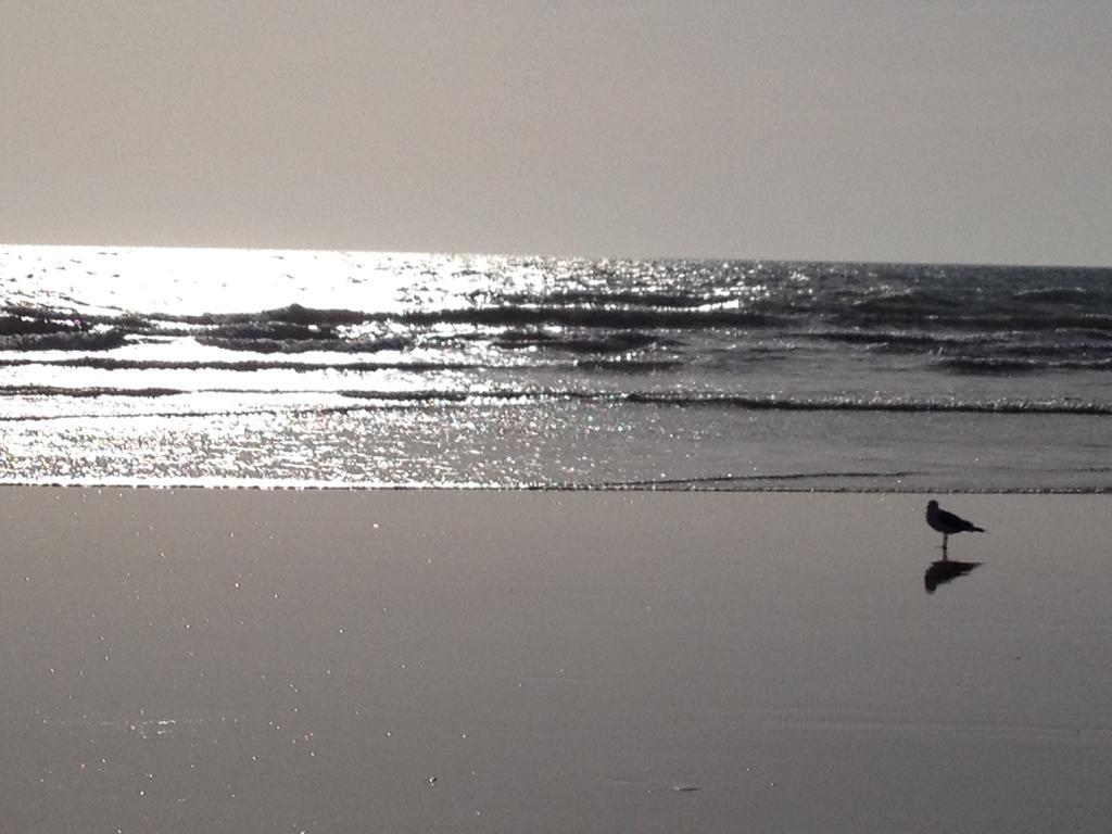 Vendee Vue Mer Saint-Hilaire-de-Riez Εξωτερικό φωτογραφία